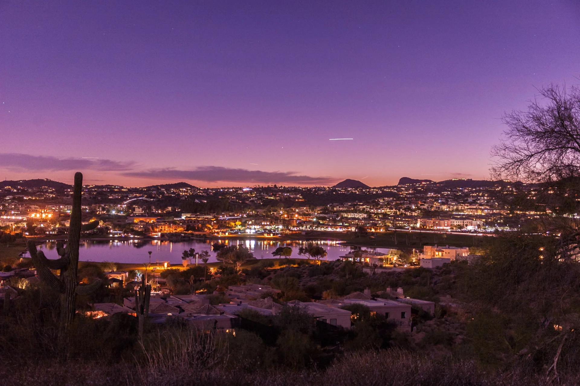 Desert night landscape with cactus in Fountain Hills, Arizona
