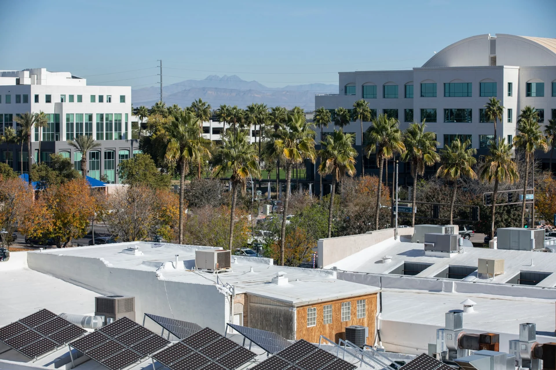 Palm-lined downtown Chandler, Arizona with mountains beyond